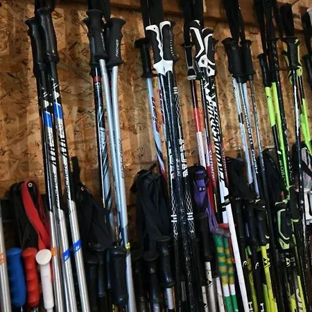 Lonka Kopaonik